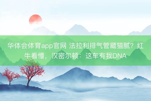 华体会体育app官网 法拉利排气管藏猫腻？红牛看懵，汉密尔顿：这车有我DNA