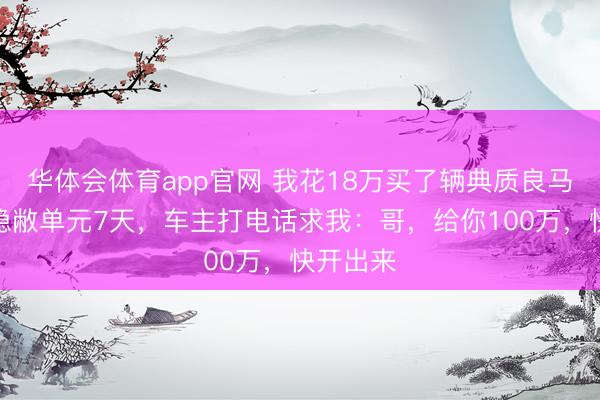 华体会体育app官网 我花18万买了辆典质良马，停在隐敝单元7天，车主打电话求我：哥，给你100万，快开出来
