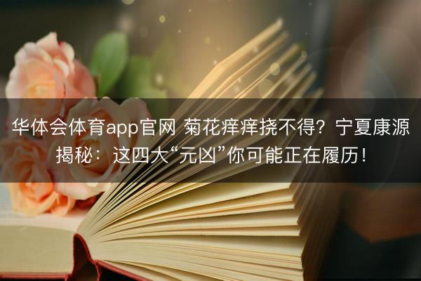 华体会体育app官网 菊花痒痒挠不得?宁夏康源揭秘:这四大“元凶”你可能正在履历!